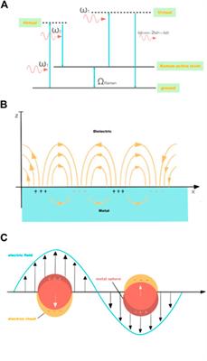 Recent advances in Raman and surface enhanced Raman spectroelectrochemistry